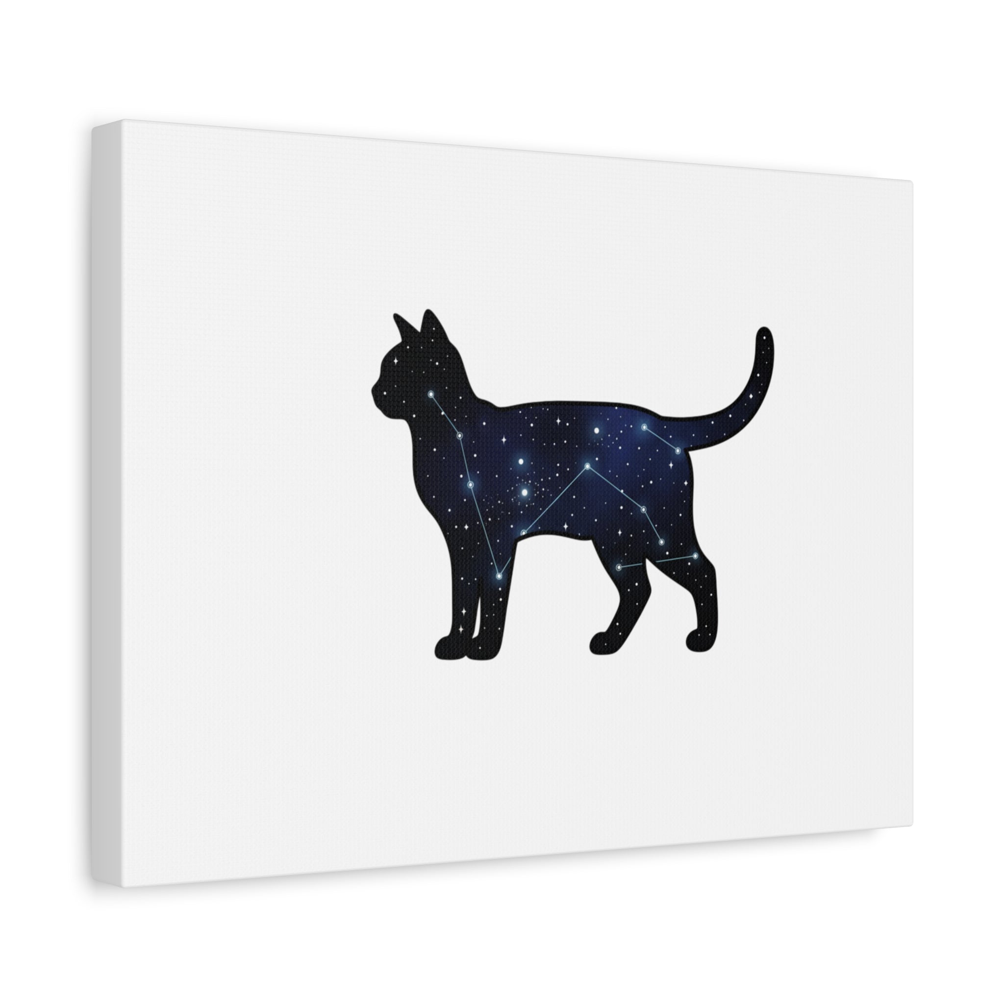 Galaxy Cat Canvas, Stretched Matte Print | Grunge Revival, Dark Plaid Aesthetic