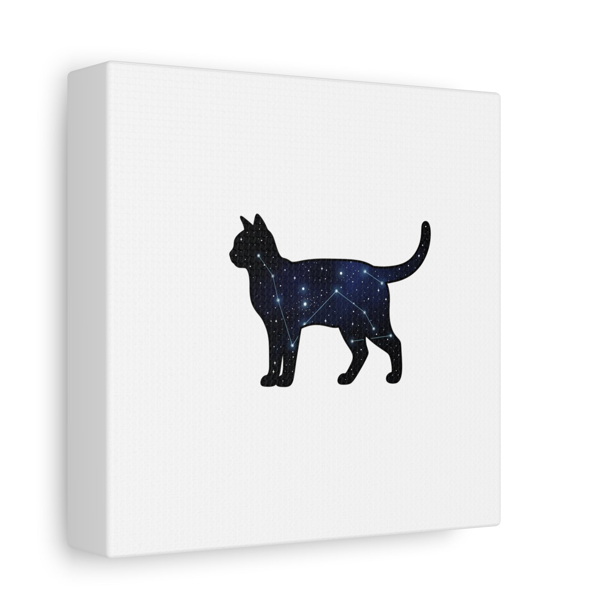 Galaxy Cat Canvas, Stretched Matte Print | Grunge Revival, Dark Plaid Aesthetic