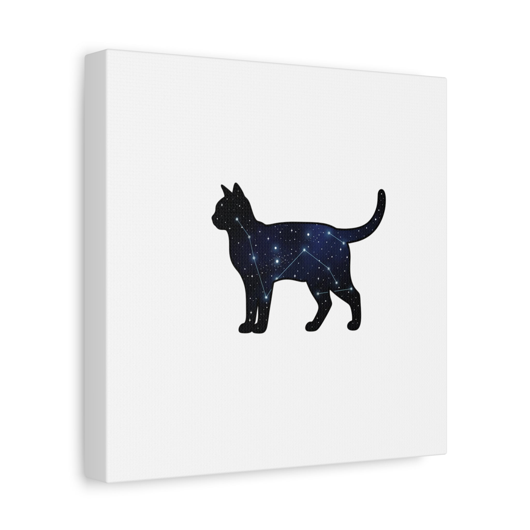 Galaxy Cat Canvas, Stretched Matte Print | Grunge Revival, Dark Plaid Aesthetic