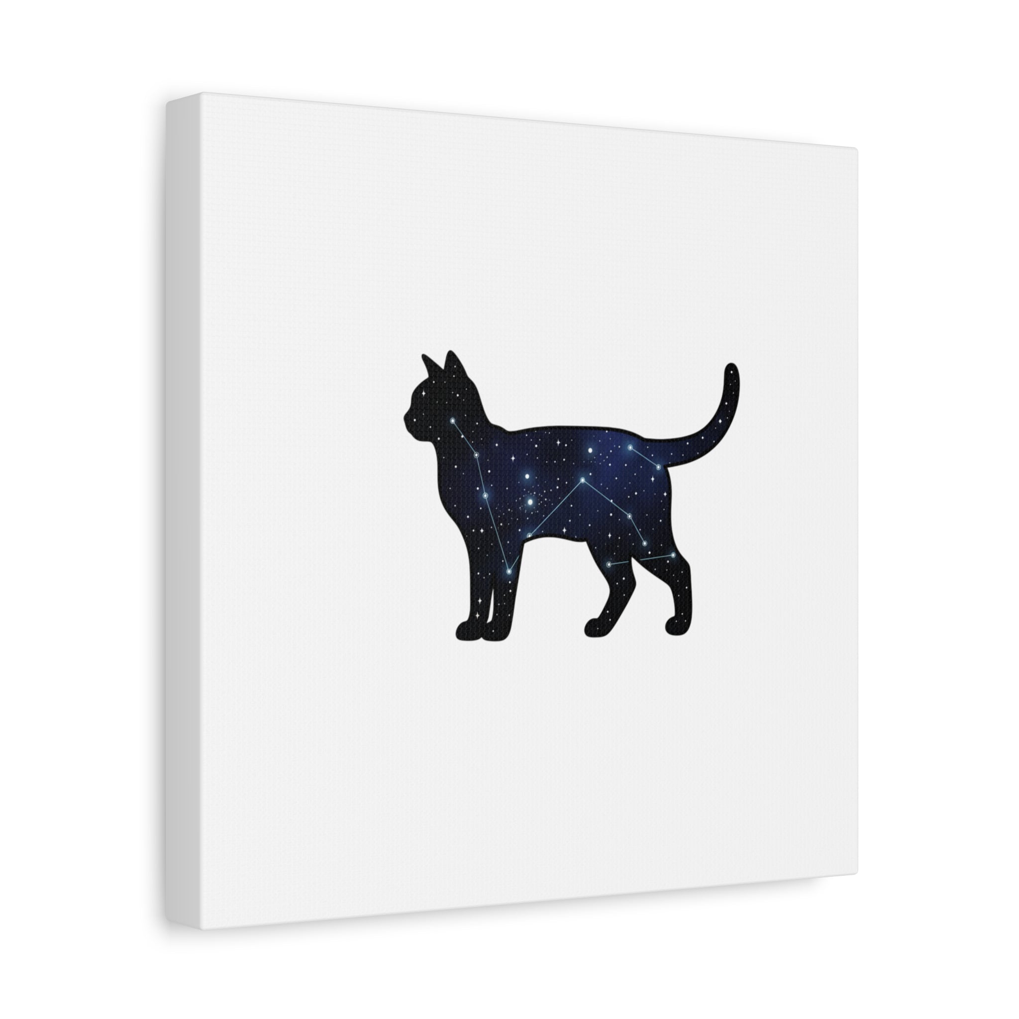 Galaxy Cat Canvas, Stretched Matte Print | Grunge Revival, Dark Plaid Aesthetic