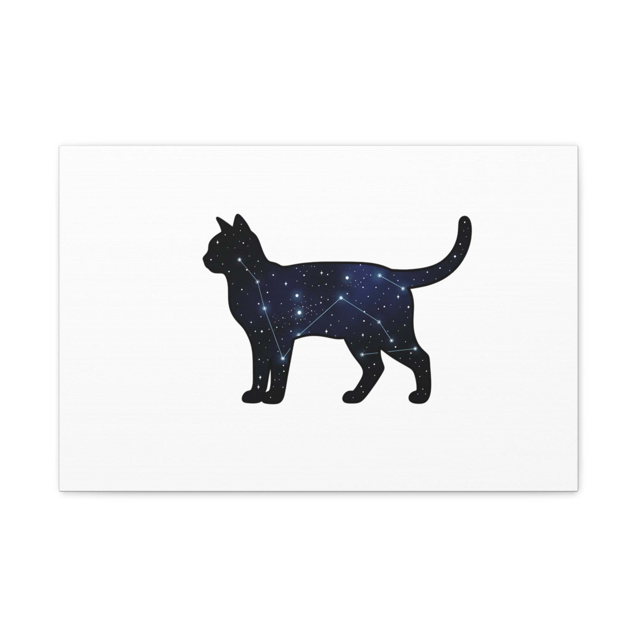 Galaxy Cat Canvas, Stretched Matte Print | Grunge Revival, Dark Plaid Aesthetic