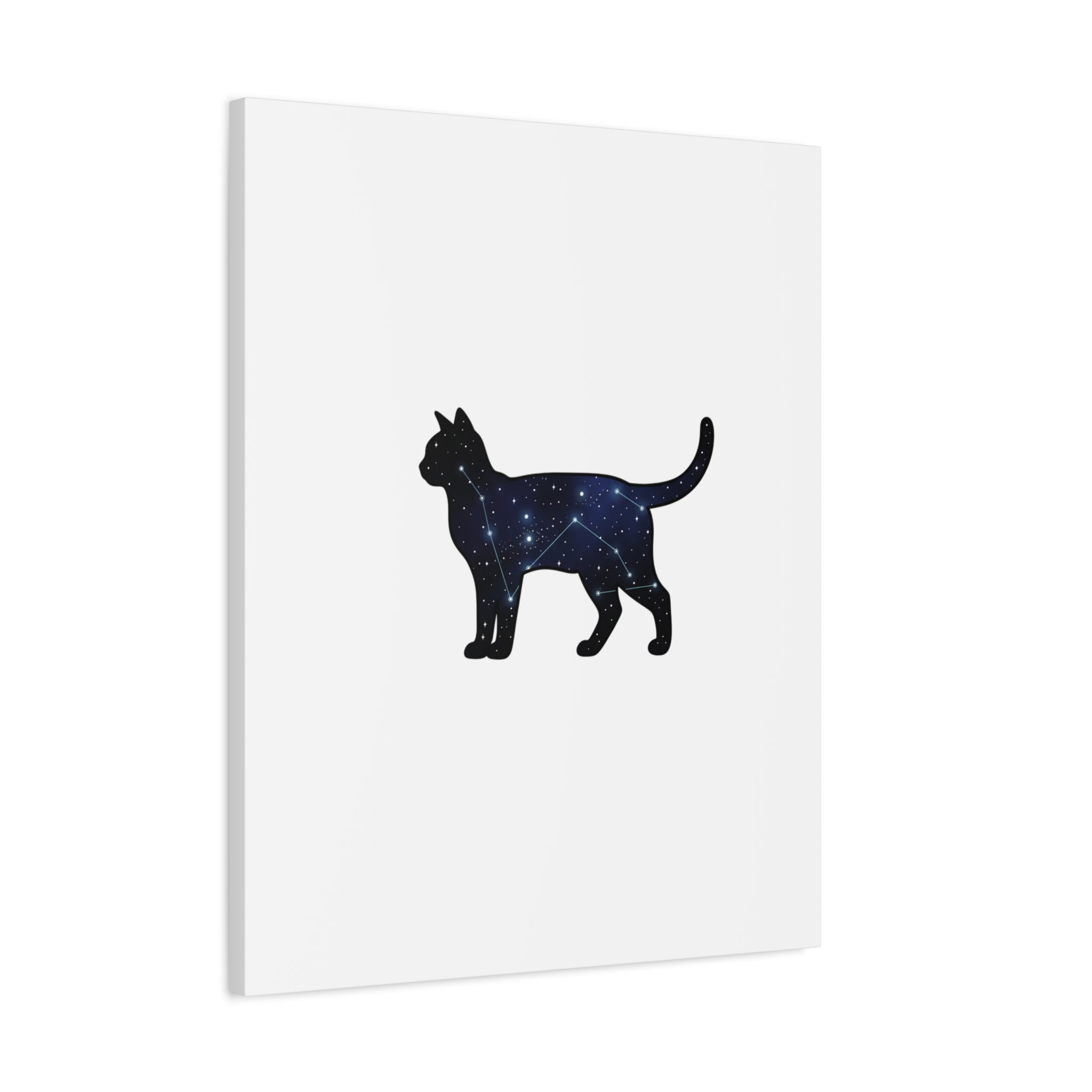 Galaxy Cat Canvas, Stretched Matte Print | Grunge Revival, Dark Plaid Aesthetic