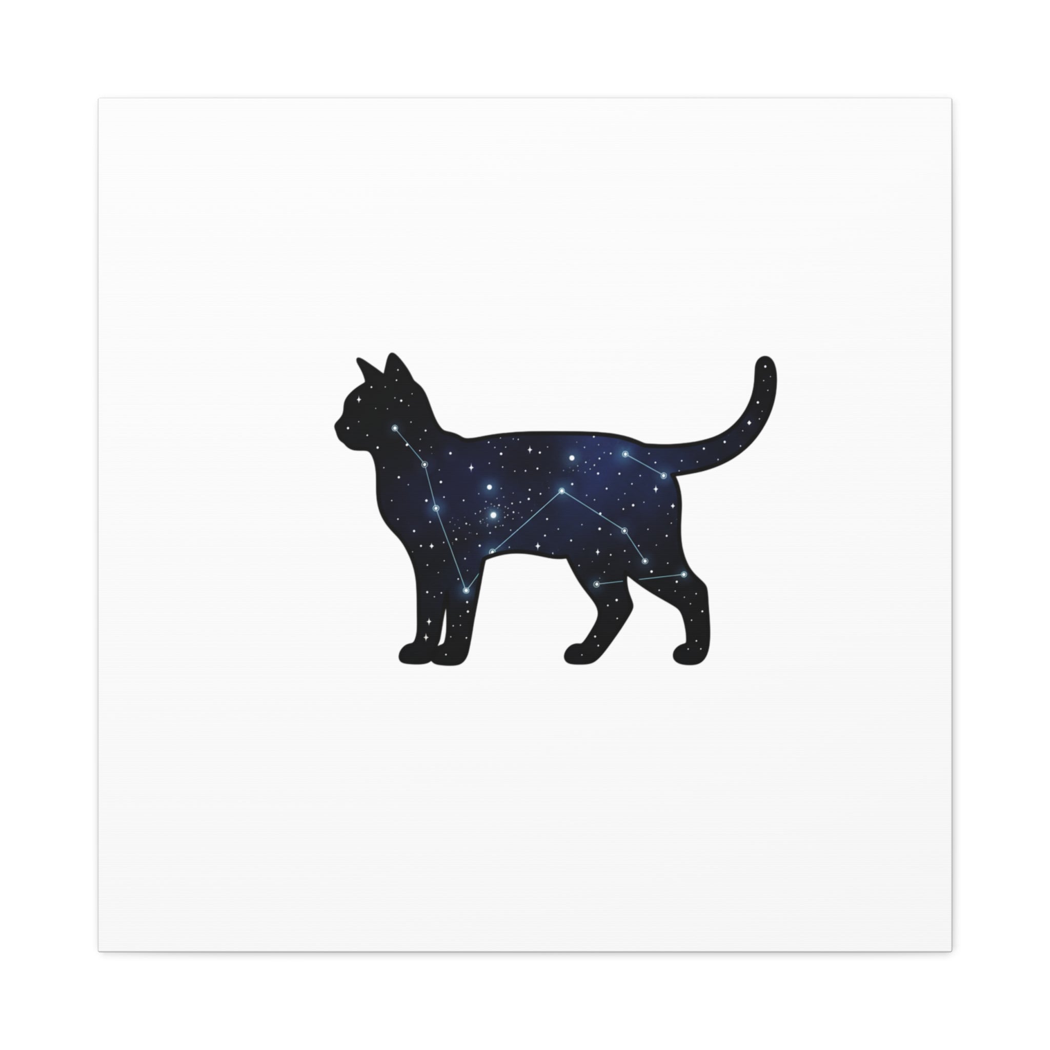 Galaxy Cat Canvas, Stretched Matte Print | Grunge Revival, Dark Plaid Aesthetic
