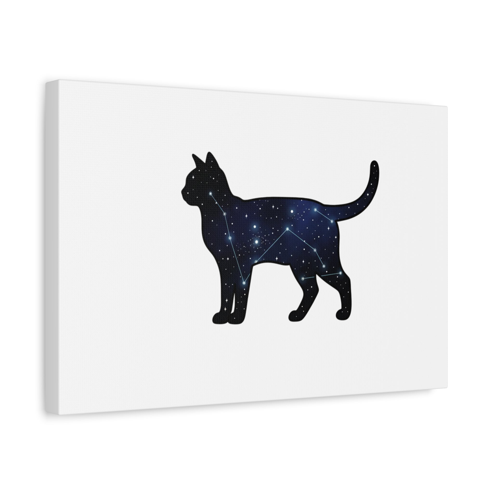 Galaxy Cat Canvas, Stretched Matte Print | Grunge Revival, Dark Plaid Aesthetic