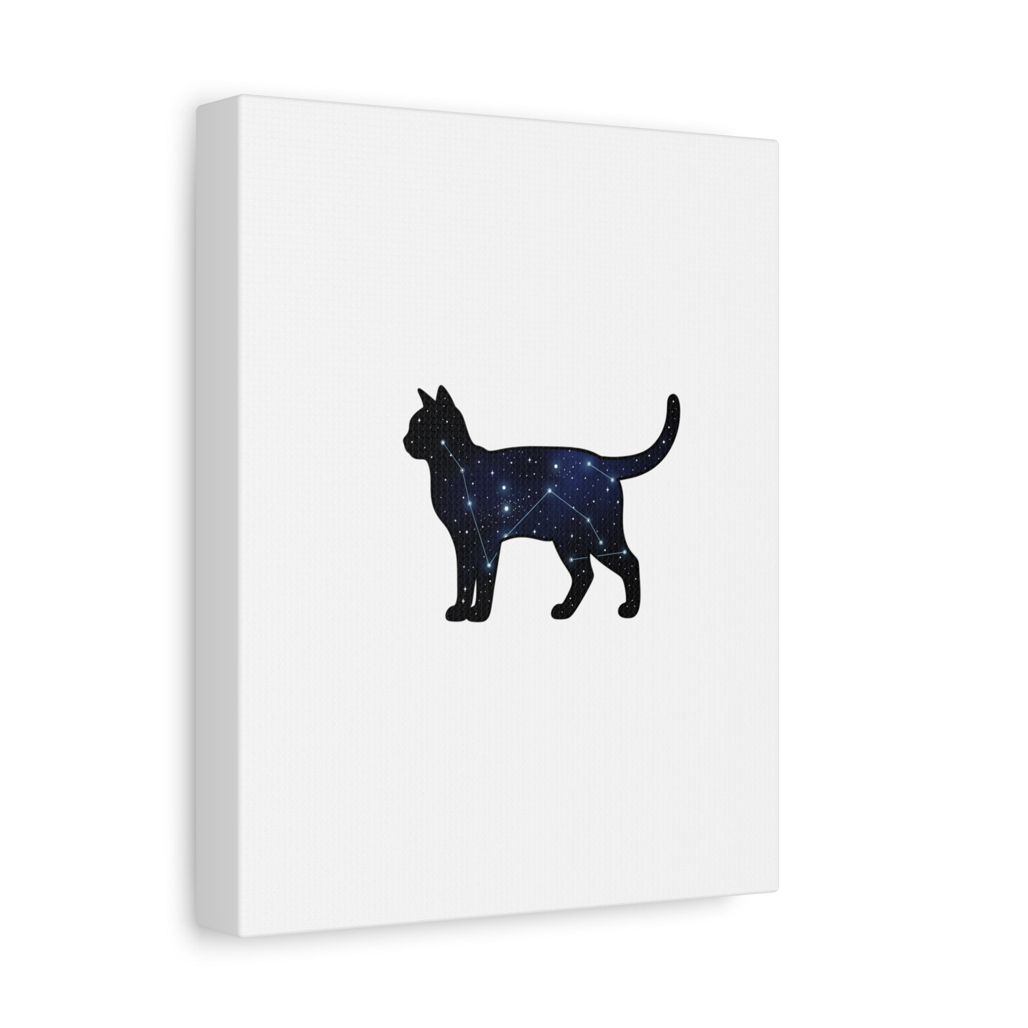 Galaxy Cat Canvas, Stretched Matte Print | Grunge Revival, Dark Plaid Aesthetic