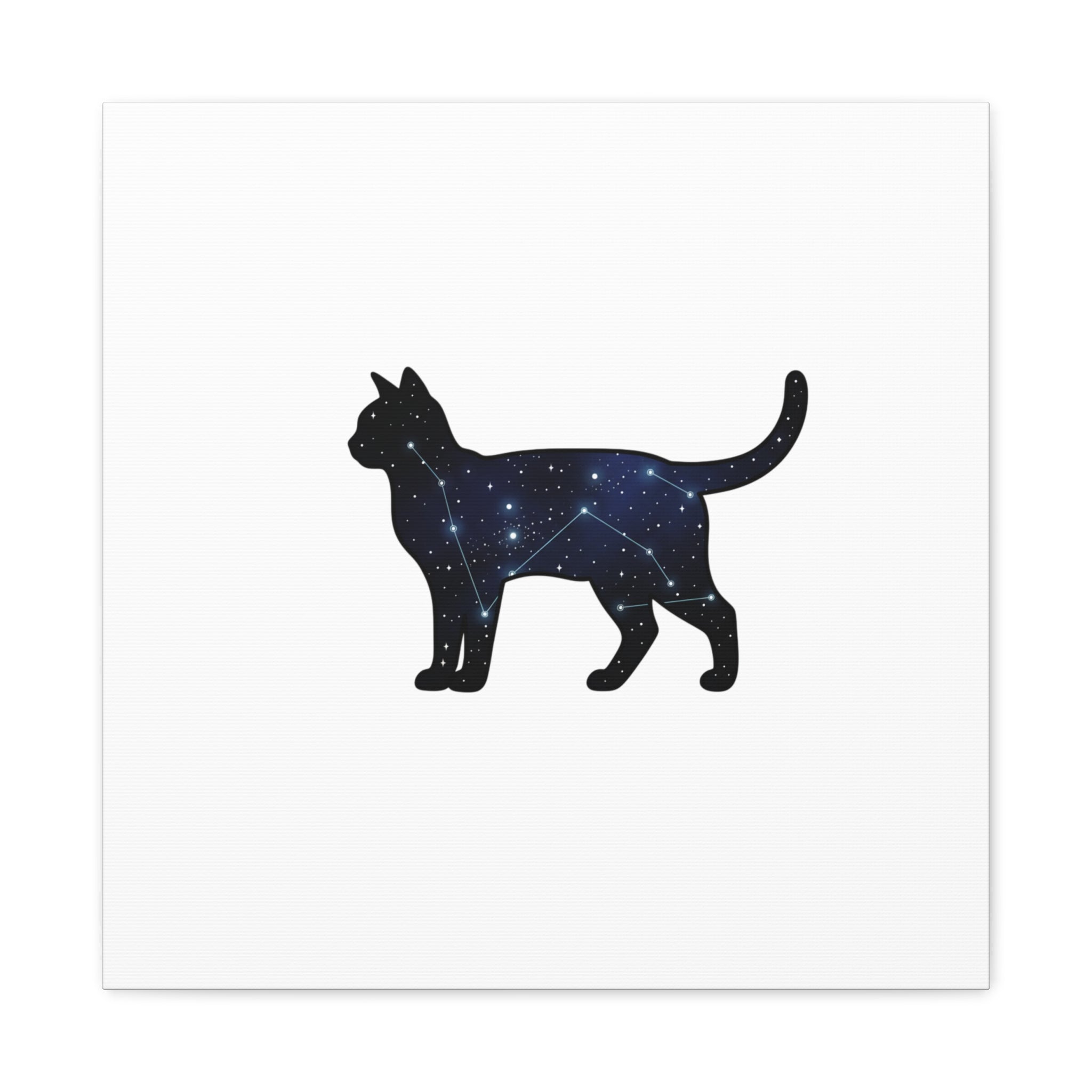 Galaxy Cat Canvas, Stretched Matte Print | Grunge Revival, Dark Plaid Aesthetic
