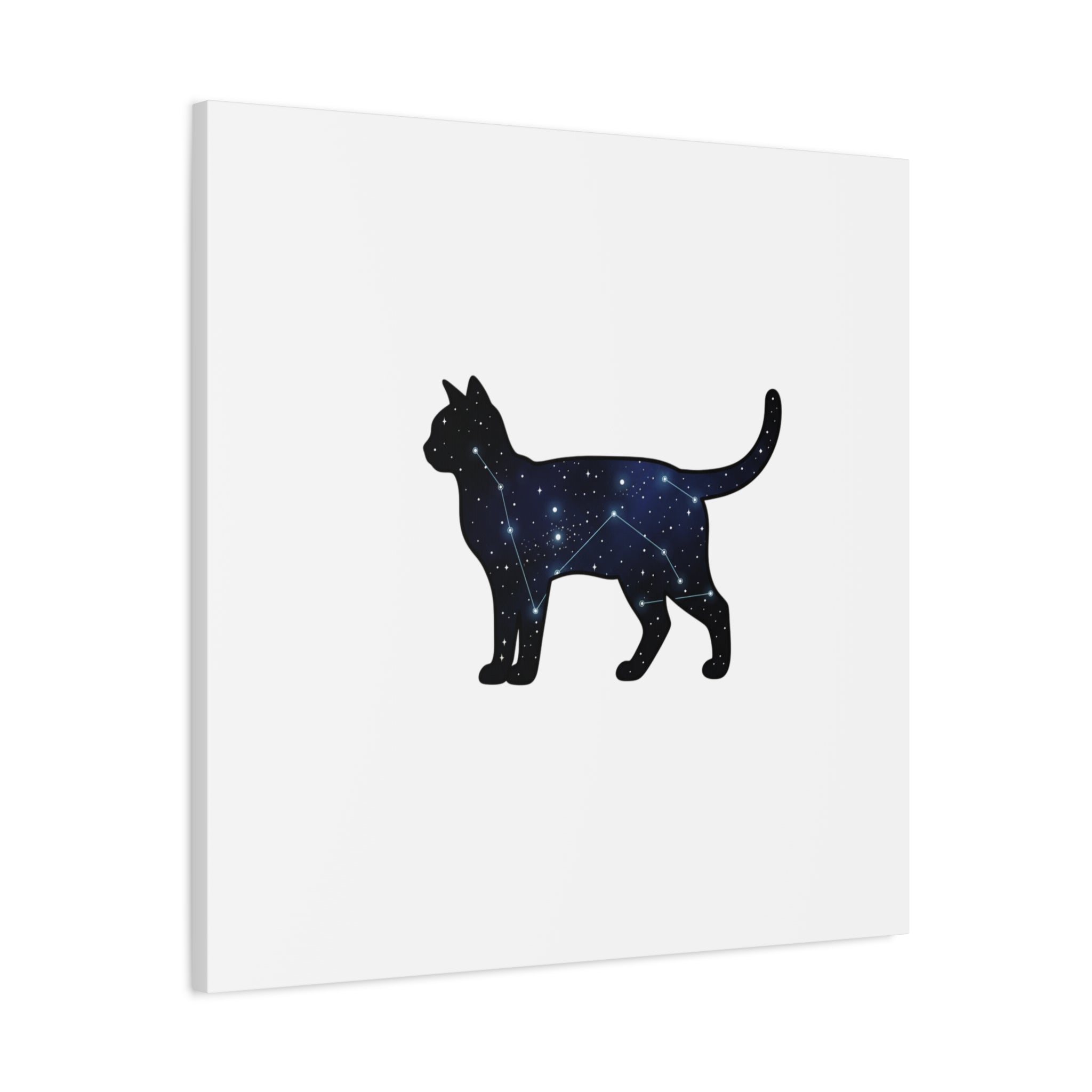 Galaxy Cat Canvas, Stretched Matte Print | Grunge Revival, Dark Plaid Aesthetic